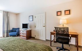 Comfort Inn And Suites in Burlington Vt